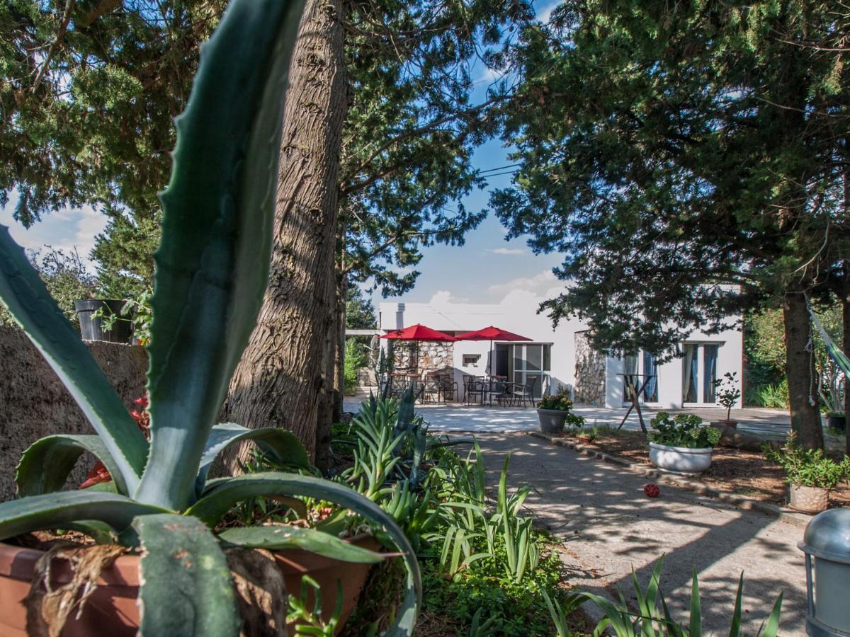Hotel Silba Otium Exteriér fotografie